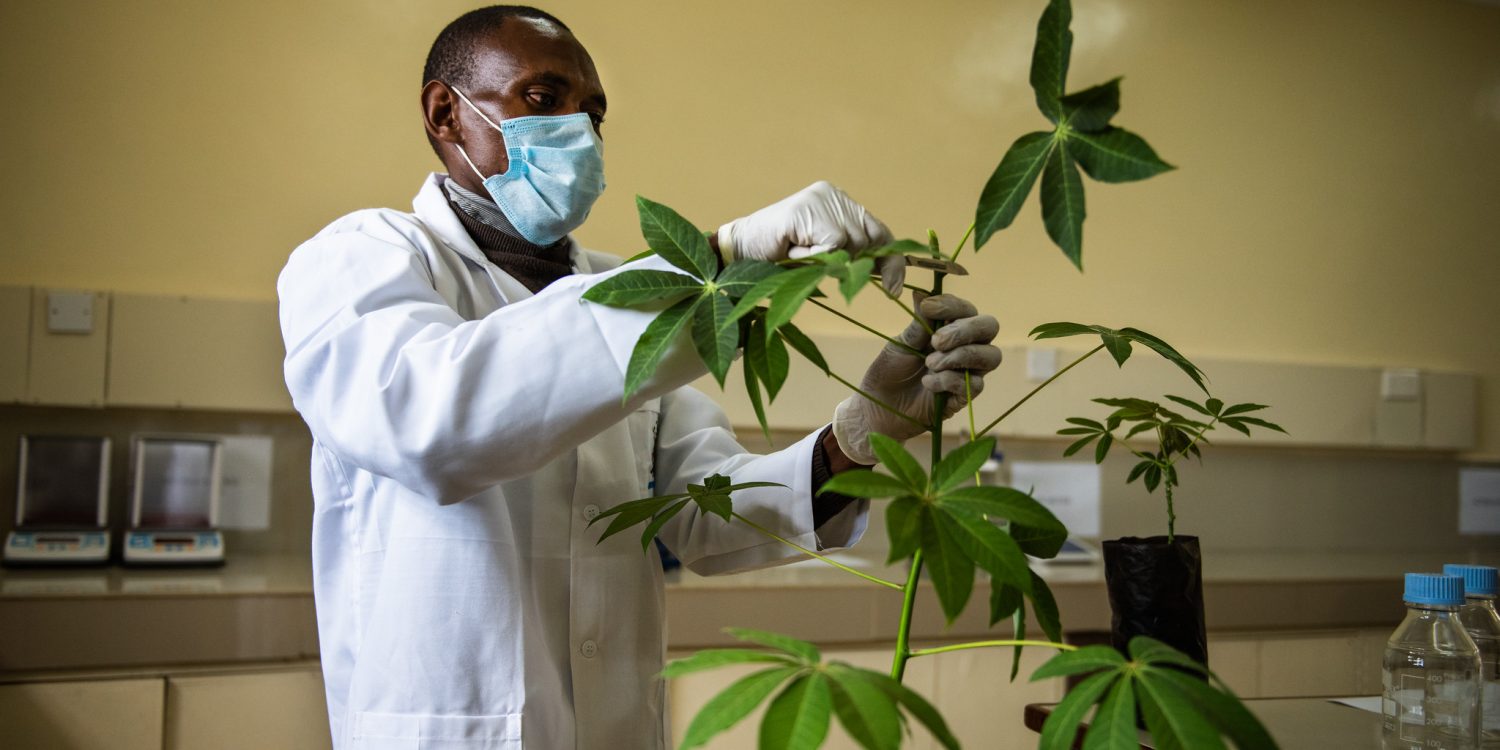 Call for Abstracts: Zambia Pre-AGM Scientific Conference