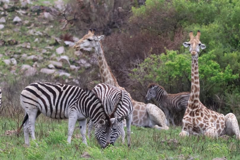 Mosi-oa-Tunya National Park